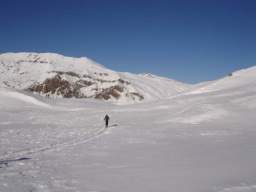 081124_A_siamo in 54.JPG